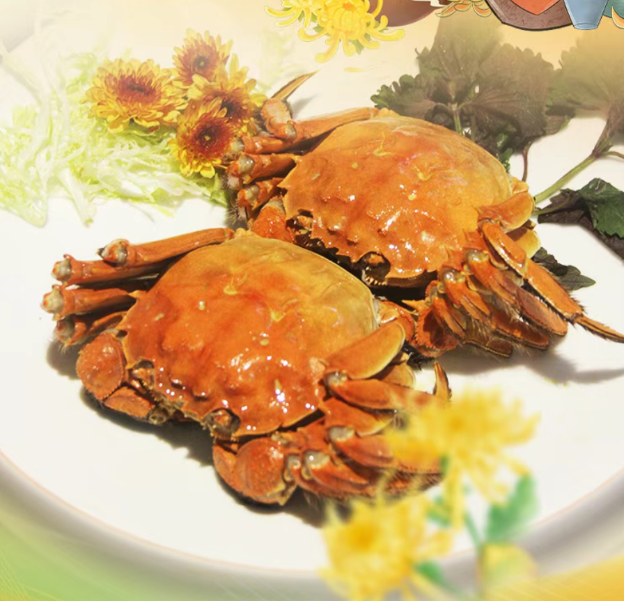 母亲节活动