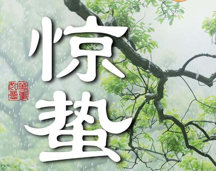 母亲节活动